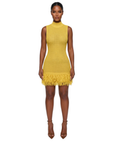 Sunlit Fringe Dress